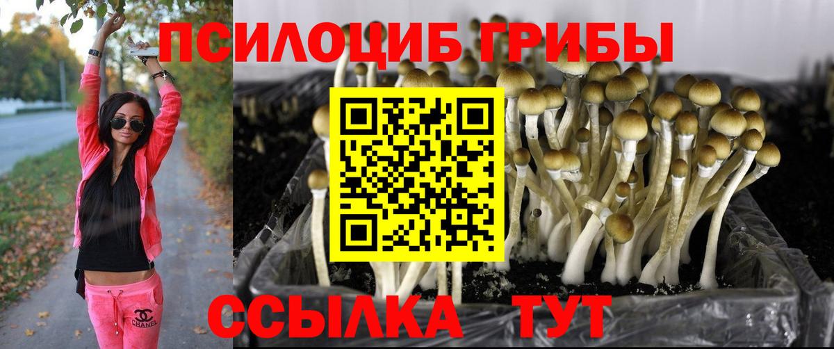 Жигулёвск  Галлюциногенные грибы ЛСД  Вход с VPN  Псилоцибиновые грибы Psilocybe 