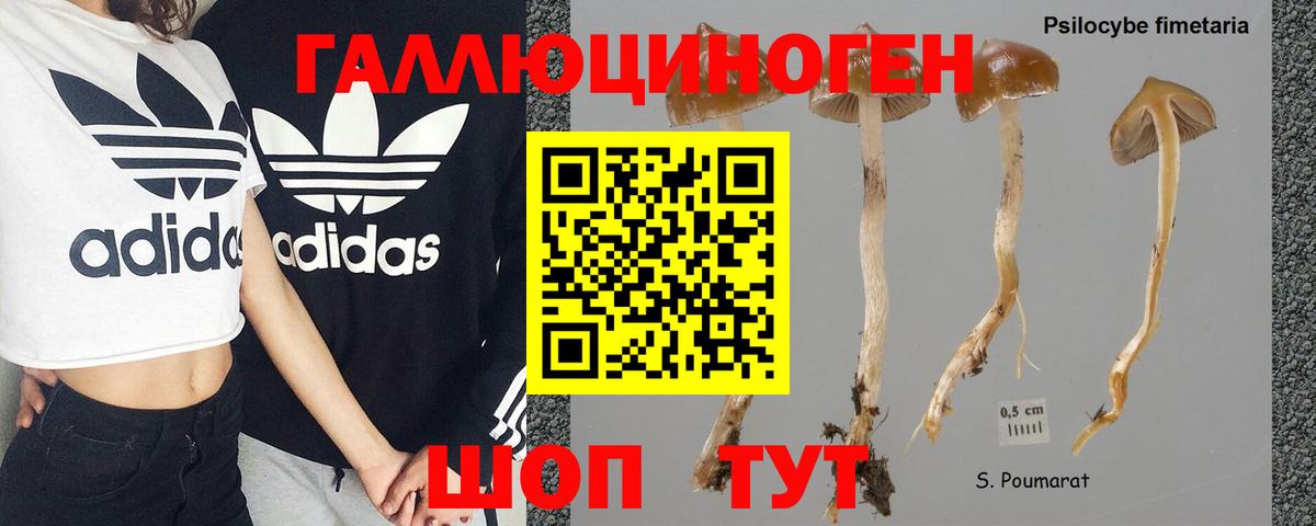 Галлюциногенные грибы прущие грибы Жигулёвск